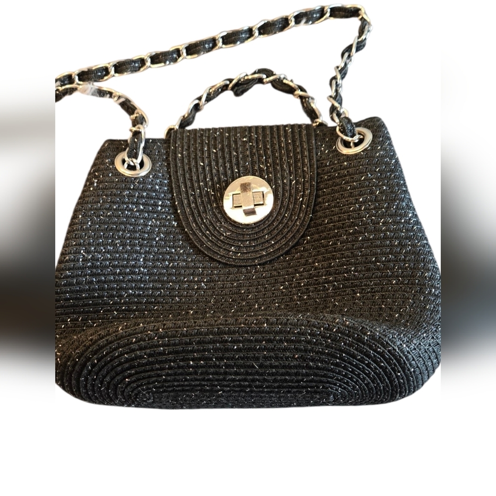 Woven Purse with Silver Toned Hardware